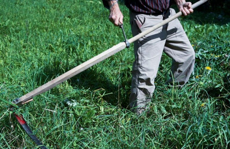 Mantenimiento y cuidado de áreas verdes y limpieza de espacios privados